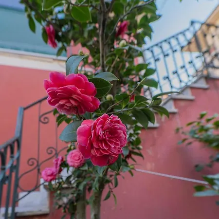 度假居 Villetta Camelia *